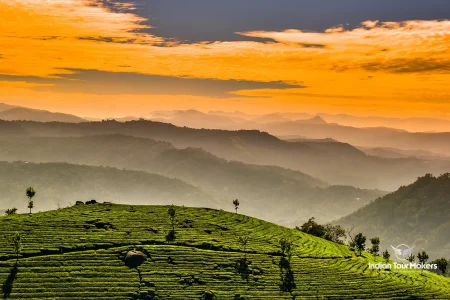 Affordable 3 days munnar tour package
