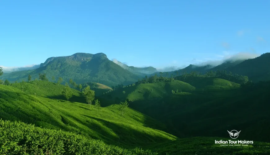 Affordable munnar tour package