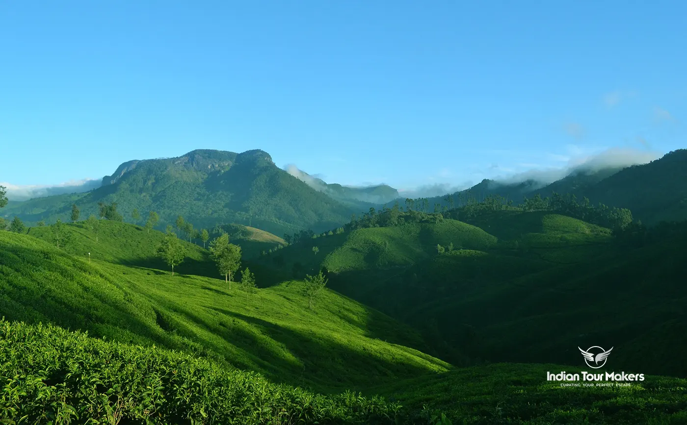 Affordable munnar tour package