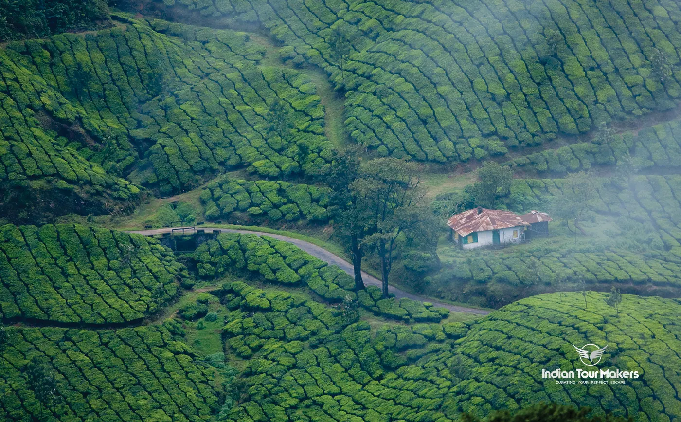 Places to visit n Munnar during visit to Kerala