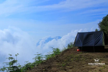 camping and wildlife tours in Munnar