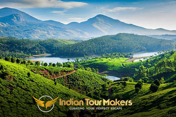 Discover the Beauty of Kerala with Munnar Thekkady Tour Package from Indian Tour Makers